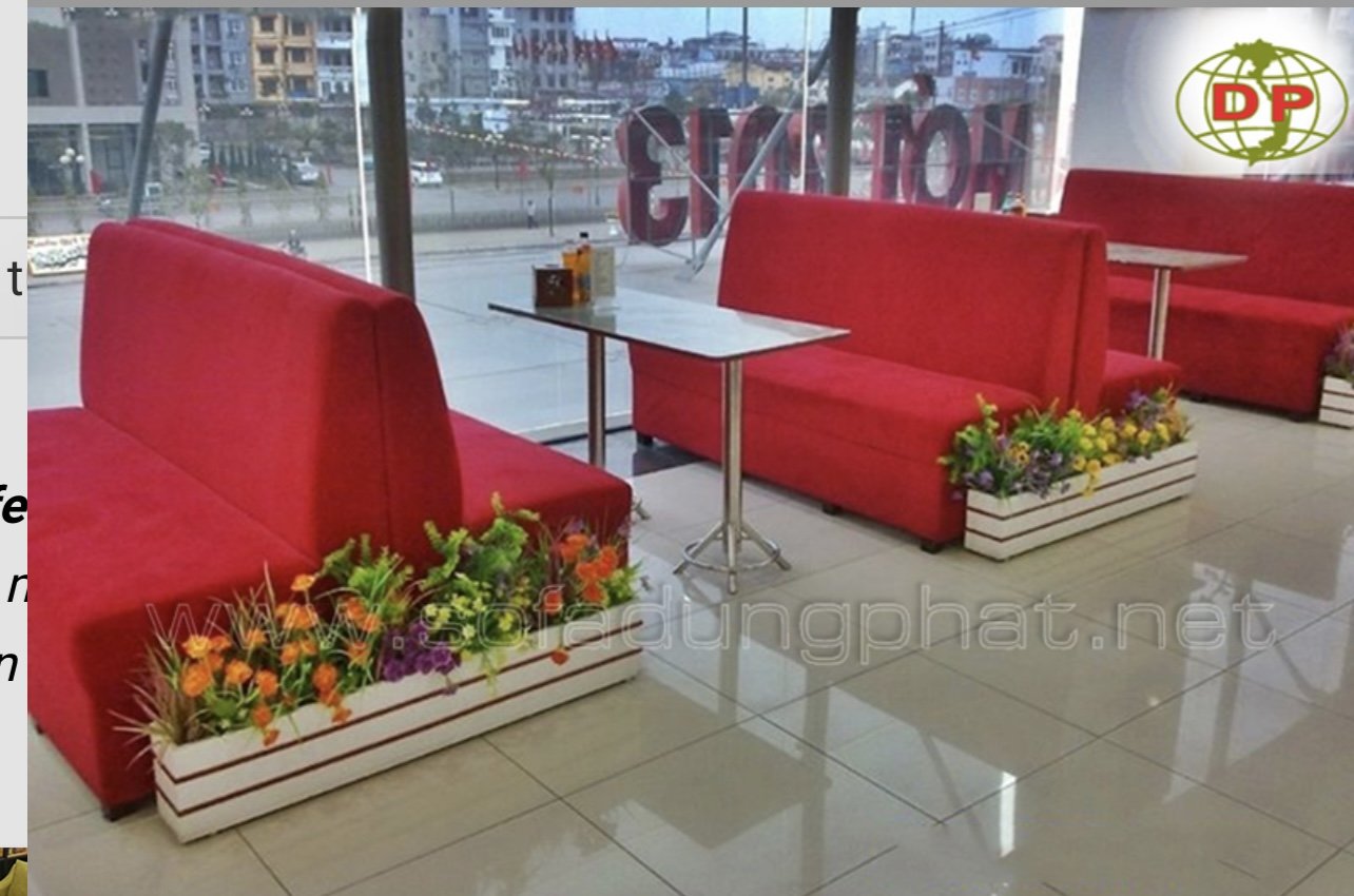  Sofa cà phê 